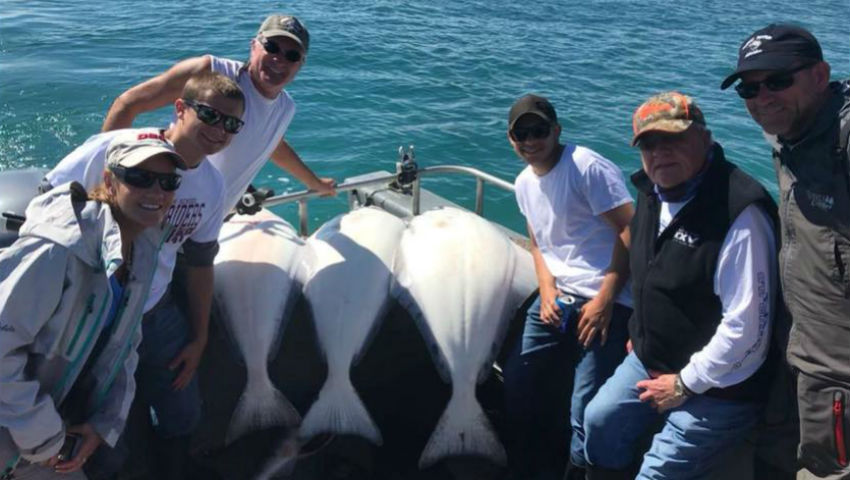 Halibut fishing in Alaska