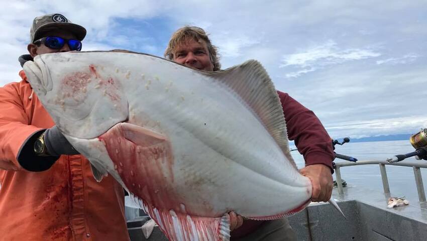 halibut fishing alaska