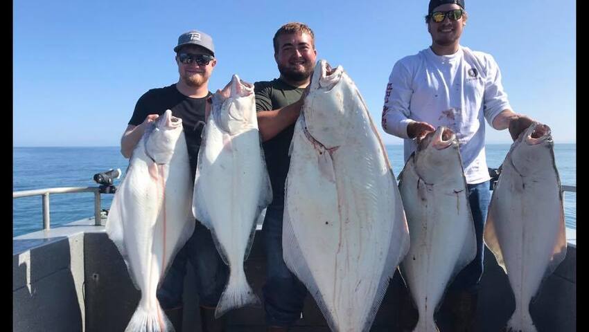 halibut fishing alaska