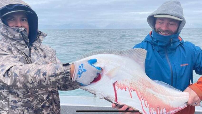 halibut fishing alaska