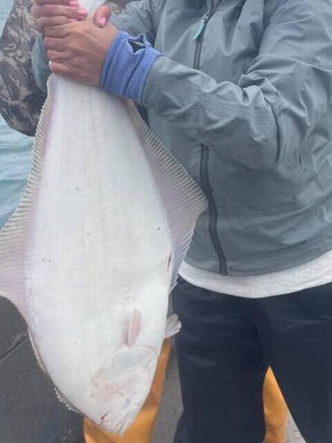 halibut fishing alaska