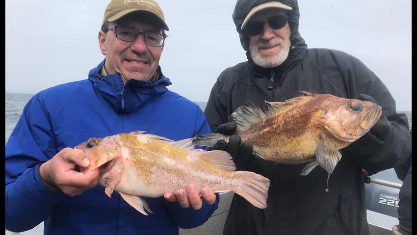 halibut fishing alaska