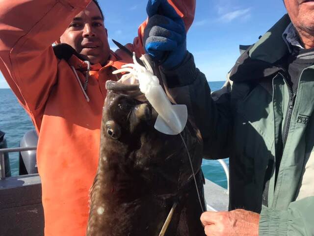 salmon fishing in alaska