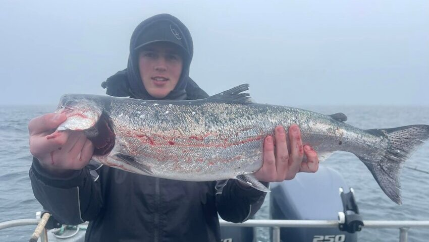 homer halibut fishing