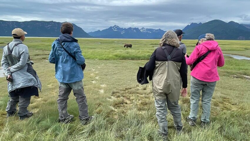 Bear Viewing in Alaska