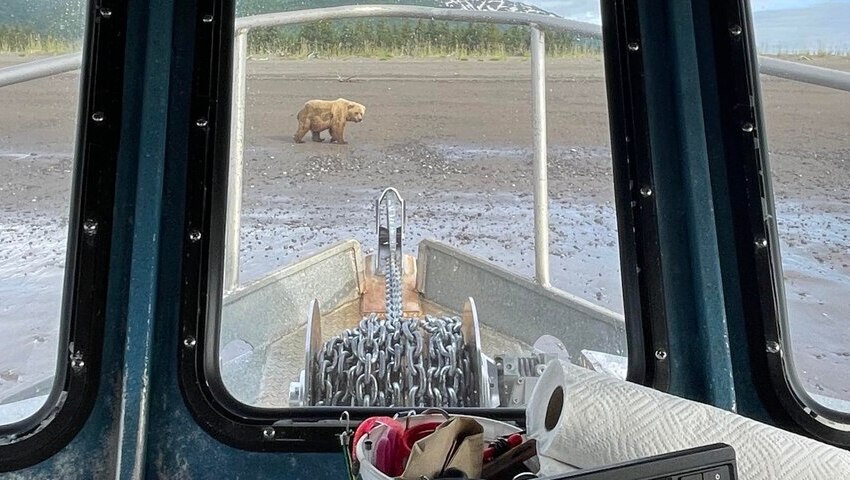 Bear Viewing in Alaska