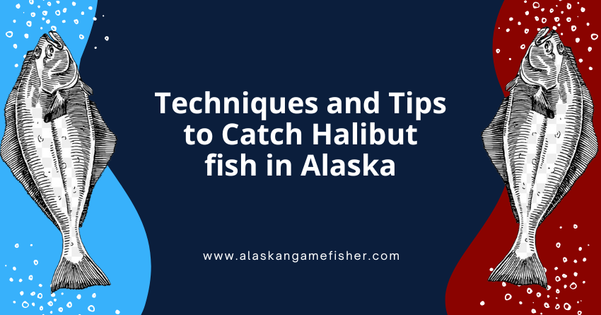 Halibut Fishing in Alaska Techniques and Tips for a Big Catch