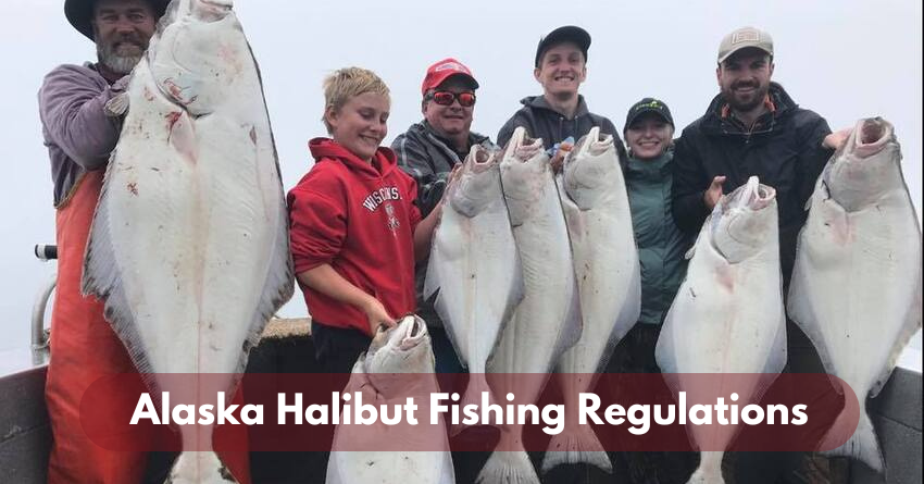 Halibut Fishing in Alaska Techniques and Tips for a Big Catch