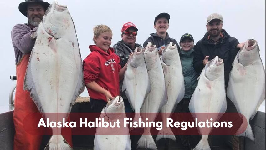 Halibut Fishing in Alaska Techniques and Tips for a Big Catch