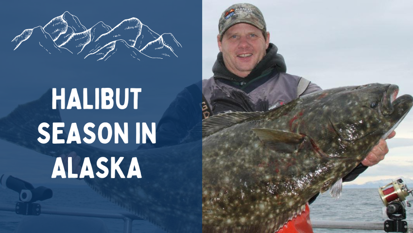 Halibut Season in Alaska