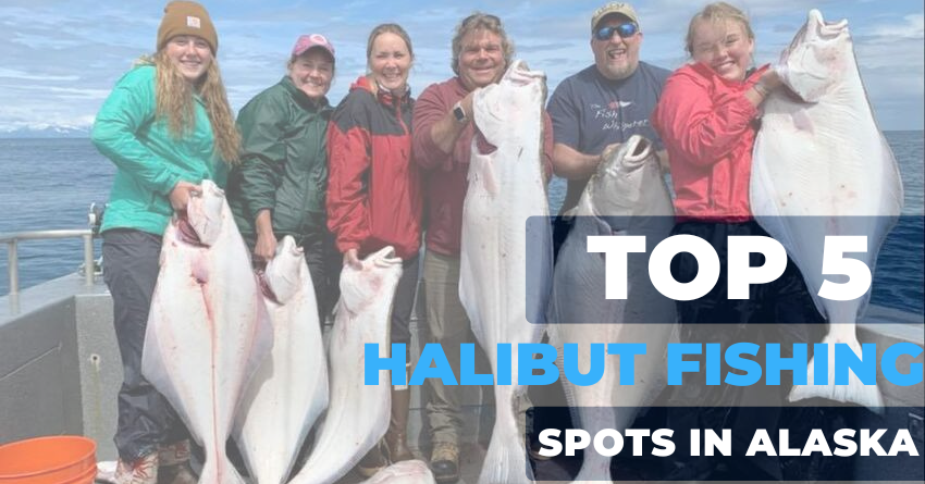 Top 5 Spots for Unforgettable Halibut Fishing in Alaska