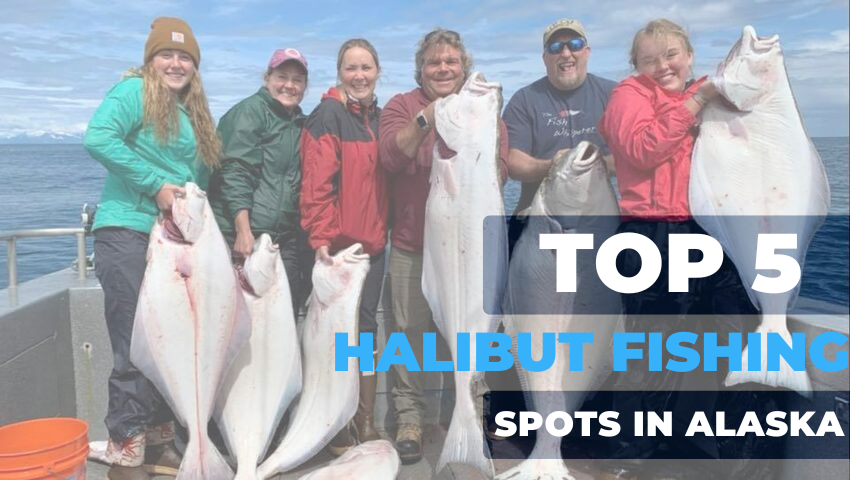 Top 5 Spots for Unforgettable Halibut Fishing in Alaska