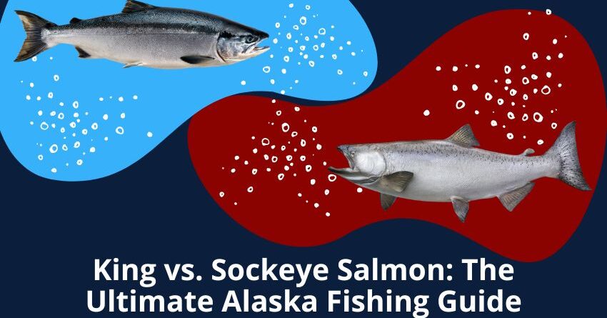 King vs. Sockeye Salmon