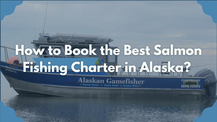 The Best Salmon Fishing Charter in Alaska