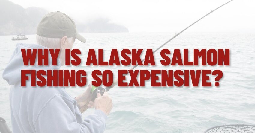 Alaska Salmon Fishing So Expensive