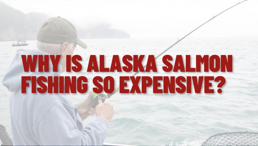 Alaska Salmon Fishing So Expensive